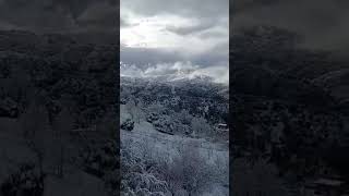 الثلوج في جبال تيزي وزو
