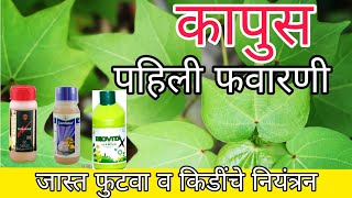 कापूस पहिली फवारणी 🤔 | कमी खर्च अधिक उत्पन्न 🤑 | Cotton First Spray |Kapus Pahili Favarni