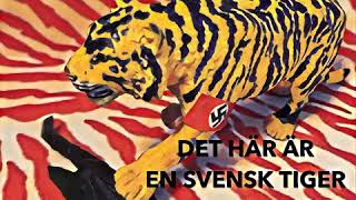 Det Här Är En Svensk Tiger Del 4 - DEKONSTRUKTIV KRITIK Aron Flam