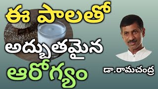 |ఈ పాలు,పెరుగుతో అద్భుతమైన ఆరోగ్యం|Benefits of Sesam seeds Milk|Dr.Ramachandra|Health Bhumi|