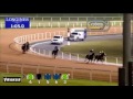 04.12.2014 meydan dubai uae 1.race longines conquest classic kondition 1.600 m