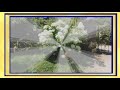 Ein Hauch von Sommer