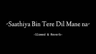 Saathiya Bin Tere Dil Mane Na - Slowed & Reverb - Black Box