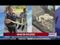 Tulsa County Deputies catch snake on the loose