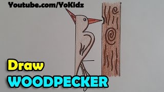 How to draw a woodpecker step by step and very easy