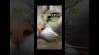 猫の知られざる事実がやばい