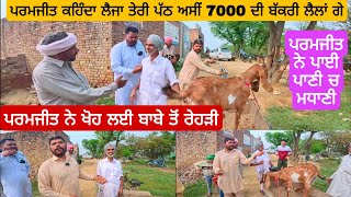 ਪਰਮਜੀਤ ਕਹਿੰਦਾ ਅਸੀਂ 7000ਦੀ ਬੱਕਰੀ ਲੈਲਾਂ ਗੇ । pandher bakra mandi #farming #Goat #goats @iltilanadhuri