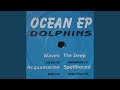 Waves (Club Mix)