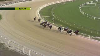 Tampa Bay Downs Live Stream