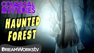 World’s Most Haunted Forest | COLOSSAL MYSTERIES