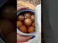 🥚 കാട മുട്ട 🥚