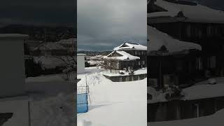 【車窓】雪景色の小浜線 西敦賀～粟野駅 JR西日本