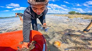 Part1 Abandoned Island - Jackpot Kami Dito | Catch, Sell & Cook