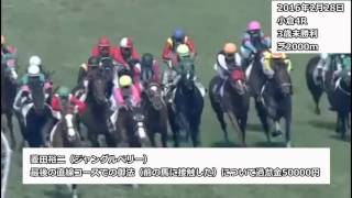 菱田裕二による約半年で二度の自責落馬事象動画