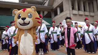 所沢風炎祇神伝~雅~・とことこタワーまつり、2017年5月14日。