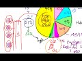 free float stock lecture 007 securities investment 101 video 00009