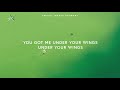 lauren daigle ~ your wings lyrics