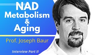 How NAD Metabolism Changes With Age | Prof Joseph Baur Series 2 Ep2