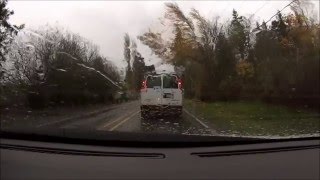 Trees Falling Compilation #2