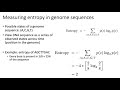 MCB 182 Lecture 7.4 - Absolute entropy of DNA sequences