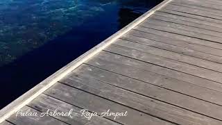 #Explore Papua - Pulau Arborek dari ketinggian 72m - ATP TBG ARBOREK - Waisia Raja Ampat