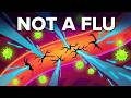 What it is Actually Like to have Hantavirus