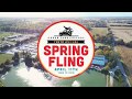 Spring Fling 2020: 10-Year Anniversary Celebration