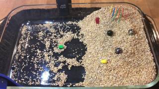Wind Erosion and Deposition experiment