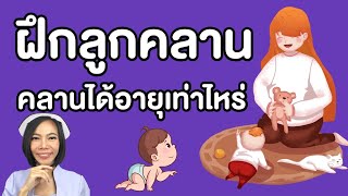 ฝึกลูกคลายนง่ายๆ ลูกคลานได้อายุเท่าไหร่ ลูกไม่คลานพัฒนาการช้าไหม