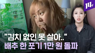 김장철 앞두고 금값 된 배추·채소… ‘가을배추’ 나와야 가격 내려갈 전망 / 14f