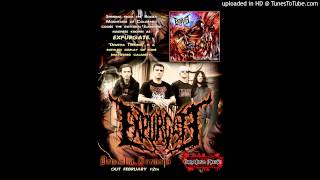 Expurgate-Viscera Insufflation