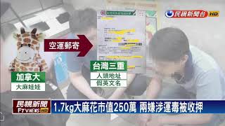 夾藏大麻花 郵寄「毒長頸鹿」 2代收者收押－民視新聞