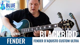 FENDER D'AQUISTO CUSTOM ULTRA Archtop Guitar - Ted Ludwig plays The Blue Guitars - Blackbird