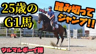 人間に換算すると70歳超え！？6億稼いだ25歳のG1馬に乗ってみた！！走ったり飛んだり…元気よく駆け回ります！【ツルマルボーイ様のシモベ】