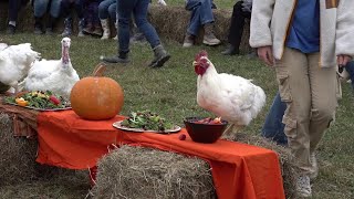 Humans, animals celebrate Thanksliving