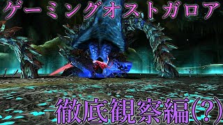 【MHXX 複数人実況】モンハンライズにむけて、オストガロア徹底観察編 part 12