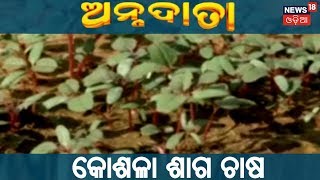 AGRICULTURE NEWS IN ODIA | \