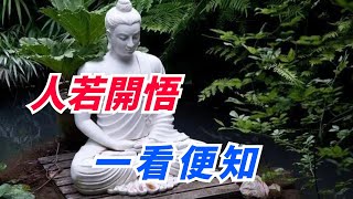 「人若開悟，一看便知」，高僧：真正開悟的人，有三個明顯特征【慧能悟佛道】#命運 #貴人  #佛說 #佛法 #發財 #健康 #幸福 #福氣