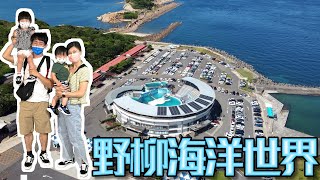 野柳海洋世界 | 北台灣也可以看到正真的海豚表演，親子旅遊的好去處 | 姐弟倆兒時記趣 Vlog