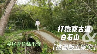 【必看】桃園大溪最美古道！打鐵寮古道+白石山登山完整攻略！（冬眠完的赤尾青竹絲出沒！）