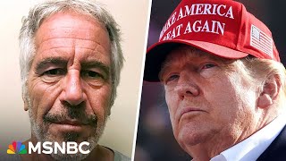 Epstein conspiracies ‘foundational to the MAGA myth’: Political strategist