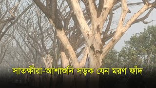 সাতক্ষীরা-আশাশুনি সড়ক যেন মরণ ফাঁদ | Satkhira | Road | RisingBD