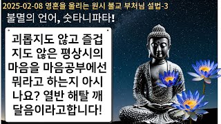 [숫타니파타-3] 괴롭지도 않고 즐겁지도 않은 평상시의 마음을 마음공부에선 뭐라고 하는지 아시나요? 열반 해탈 깨달음이라고합니다!  [신인철교육사_20250208]