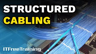 Structured Cabling - CompTIA A+ 220-1101 – 4.6