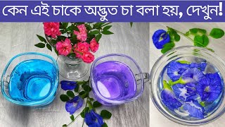 কিভাবে নীল থেকে বেগুনি রঙের চা বানালাম || Butterfly pea flower tea || Magic tea ||নীল চা ||বেগুনি চা