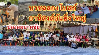 Ep20 ปลงผมนาคชัย32รูป งานบุญฉลองโบสถ์ 18/2/2566 ณ วัดศรีสะอาด มื้อนี้เริ่มเป็นบุญใหญ่@92wara