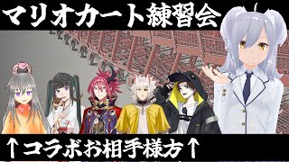 【セトラ・setraの】マリカ８DXコラボ！～練習会なんだぜ～【#セトらいぶ】