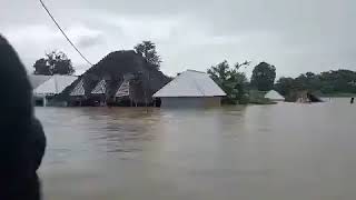 🚨TAZAMA MAFURIKO MAKUBWA RUFIJI LEO BAADA YA MVUA KUBWA KUNYESHA