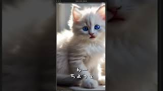 おやつがどうしても欲しい #猫のいる暮らし #cute