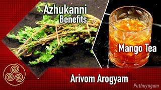 அழுகண்ணி பயன்கள் | Mango Tea Recipe | Arivom Arogyam | 28/05/2018